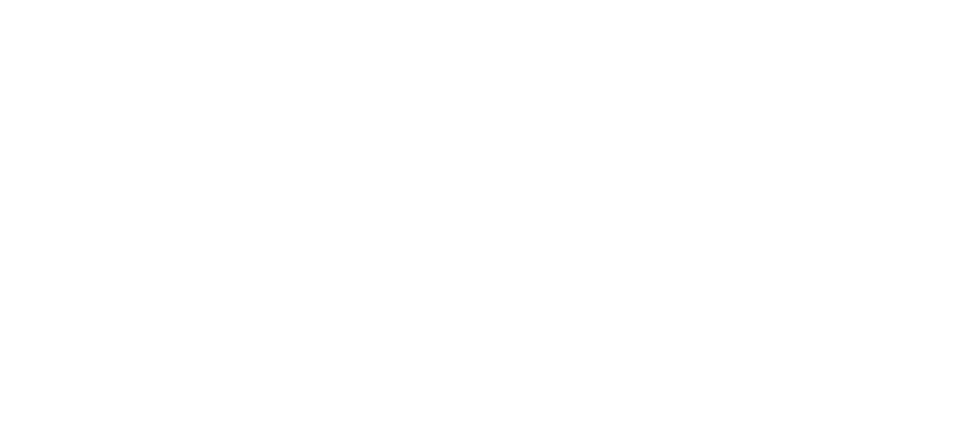 Litera